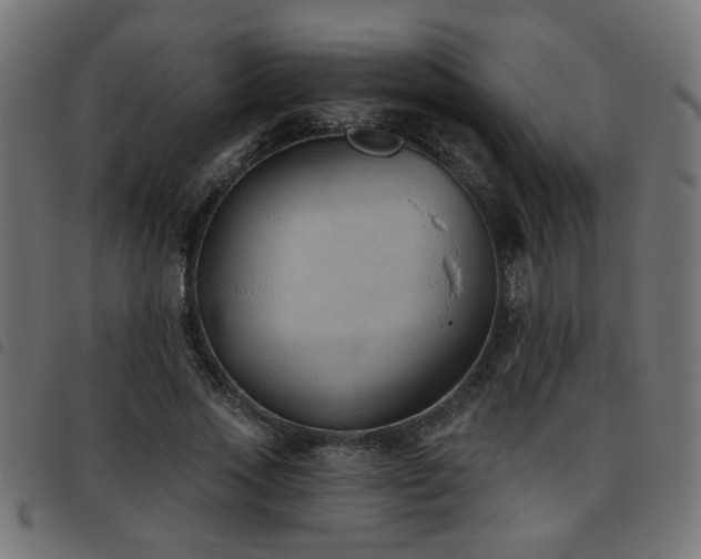 X0000093450733200710121353