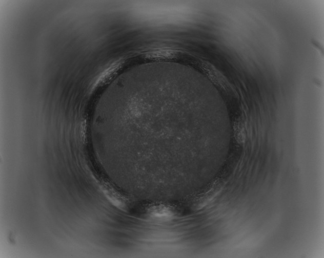 X0000093450735200710121353