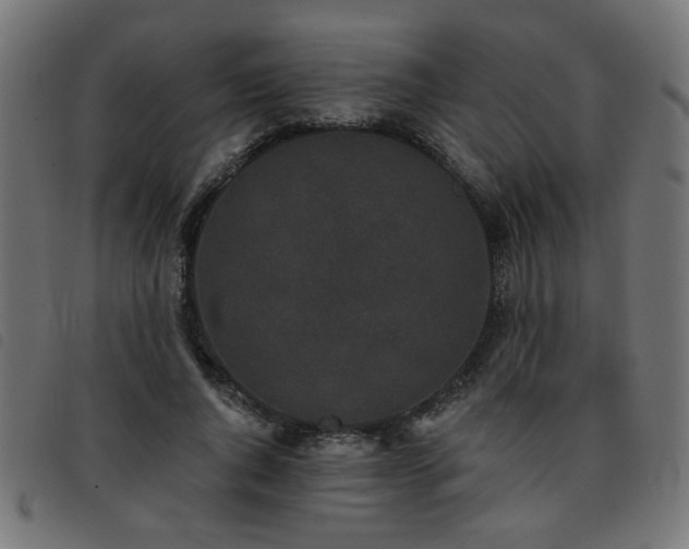 X0000093450736200710121353