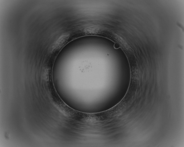 X0000093450738200710121353