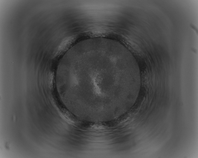 X0000093450742200710121353