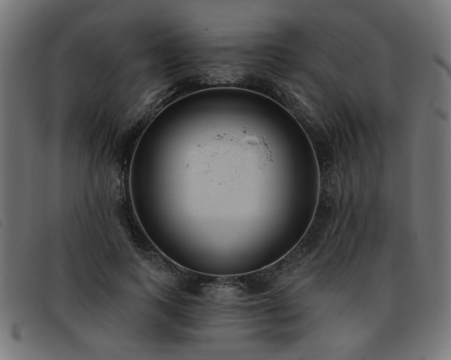 X0000093450743200710121353
