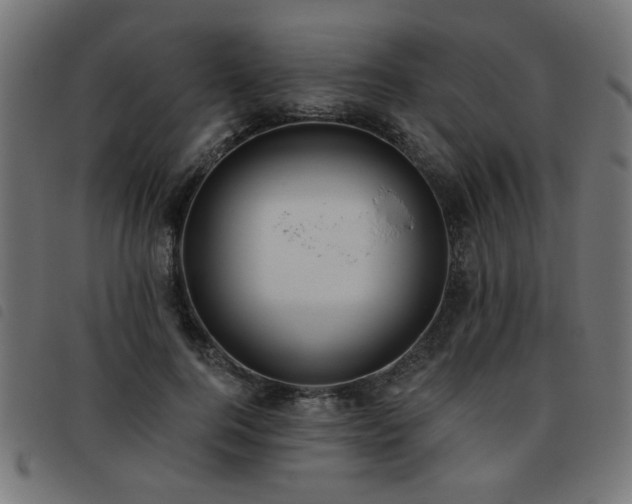 X0000093450744200710121353