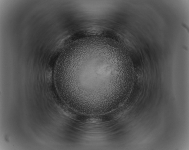 X0000093450745200710121354