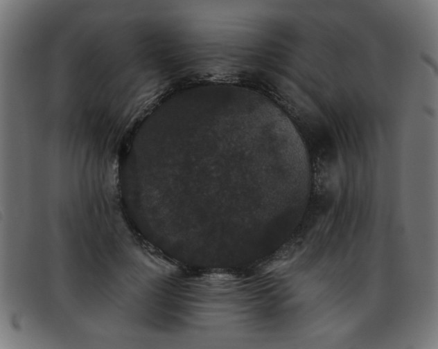 X0000093450748200710121354