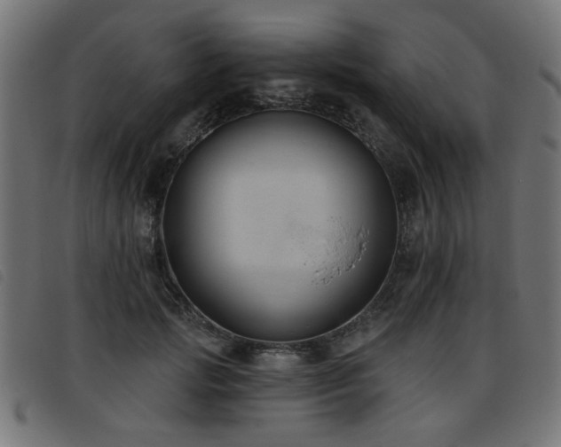 X0000093450749200710121354