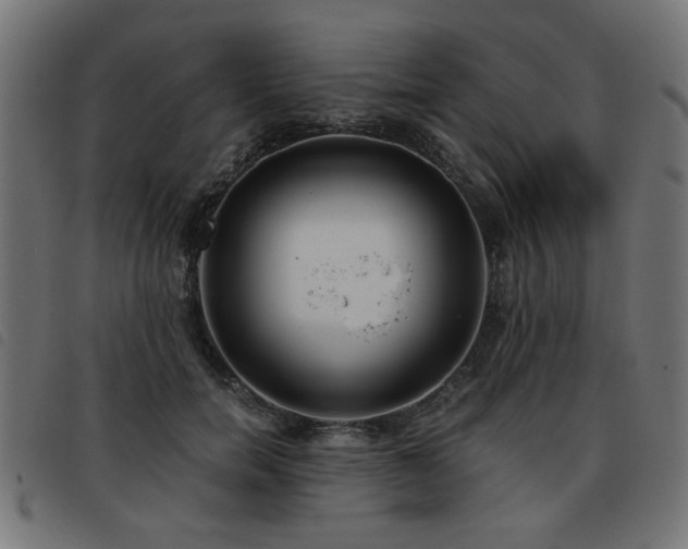 X0000093450750200710121354