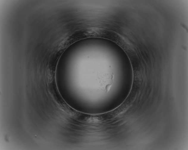 X0000093450751200710121354
