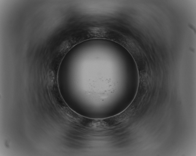 X0000093450752200710121354