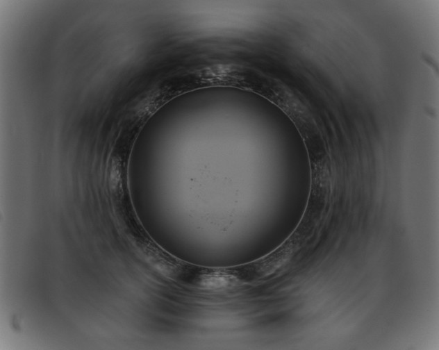 X0000093450754200710121354