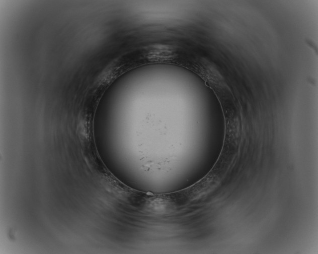 X0000093450755200710121354