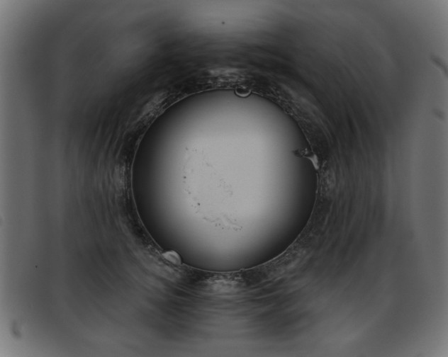 X0000093450756200710121354
