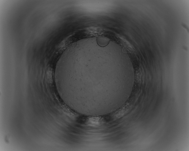 X0000093450757200710121354