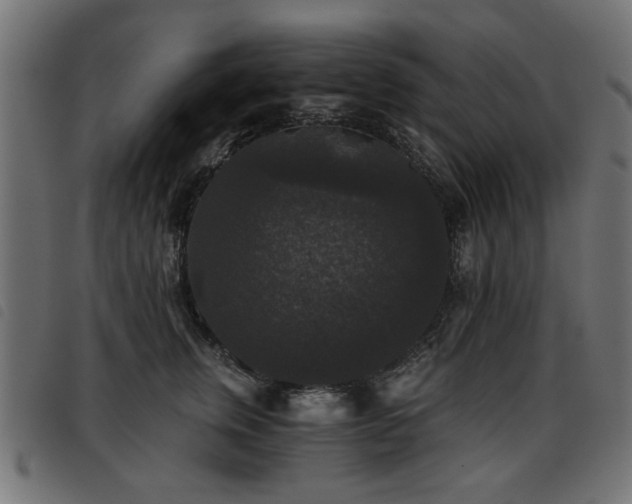X0000093450759200710121354