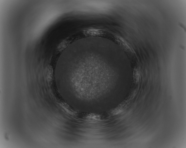 X0000093450760200710121354