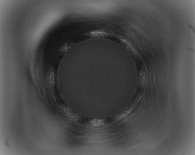 X0000093450762200710121354
