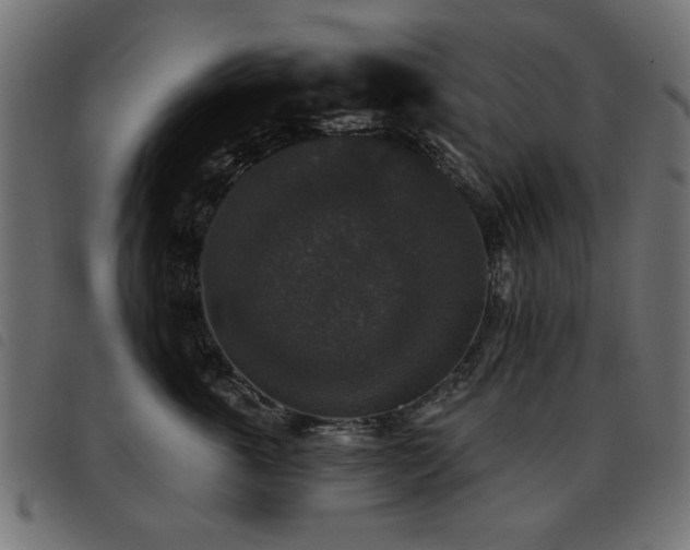 X0000093450763200710121354