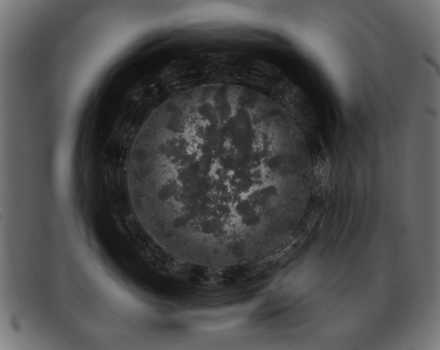 X0000093450765200710121354