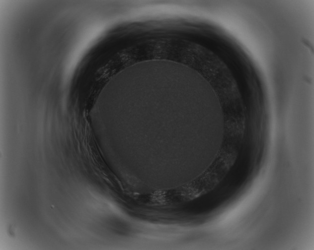 X0000093450766200710121354