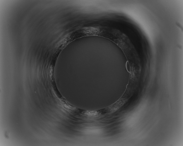 X0000093450767200710121354