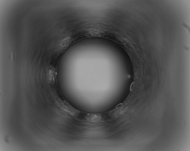 X0000093450768200710121354
