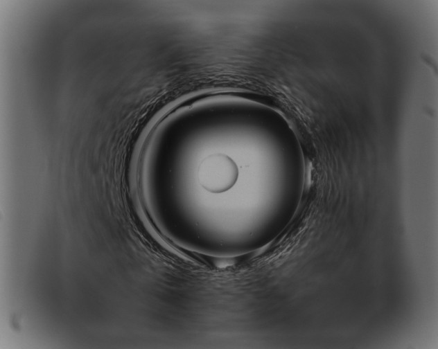 X0000093450769200710121353