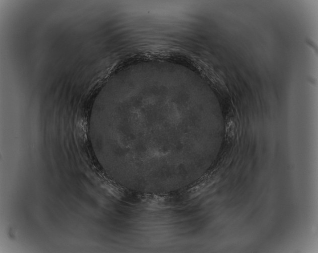 X0000093450772200710121353