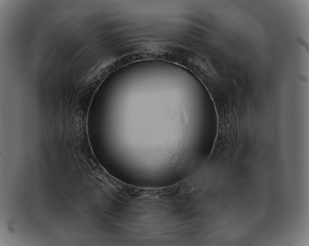 X0000093450773200710121353