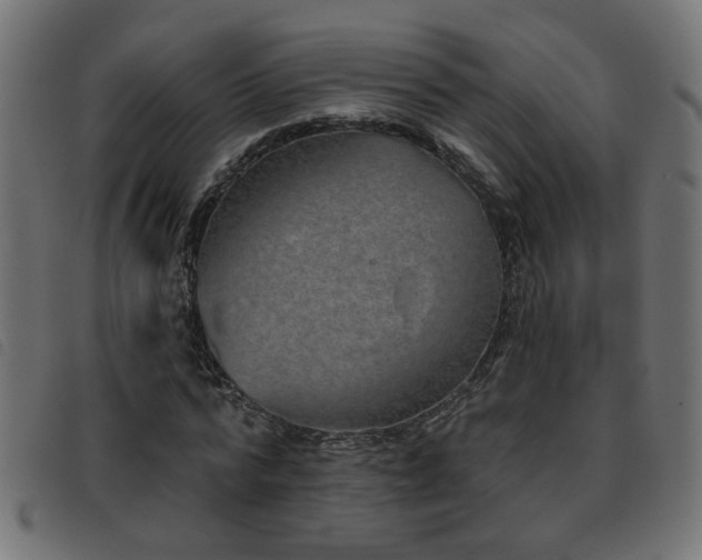 X0000093450776200710121353
