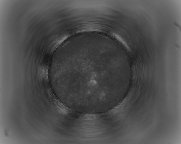 X0000093450777200710121353