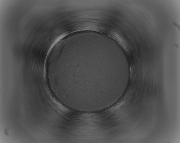 X0000093450780200710121353