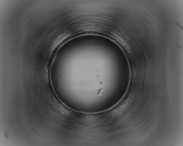 X0000093450782200710121353