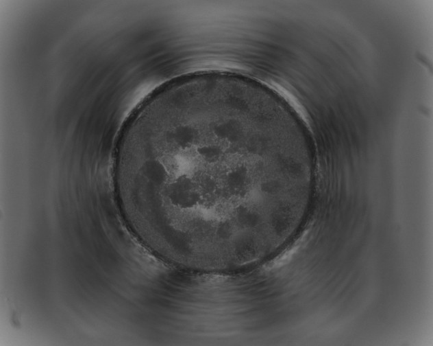 X0000093450783200710121353