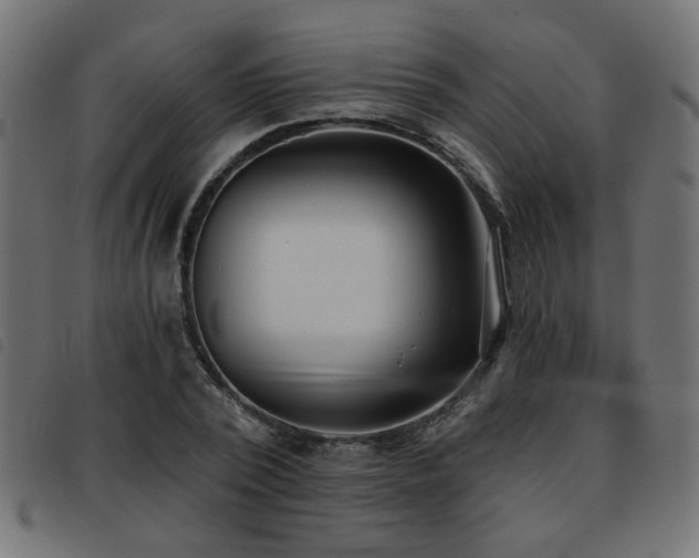 X0000093450784200710121353
