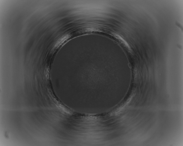 X0000093450785200710121353