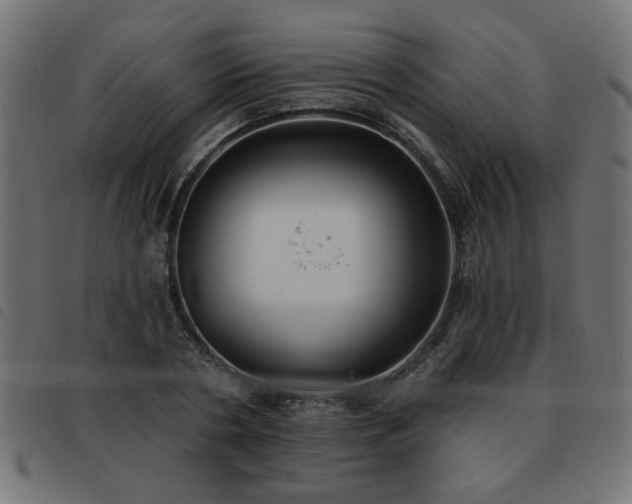 X0000093450786200710121353