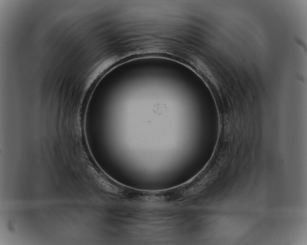 X0000093450789200710121353