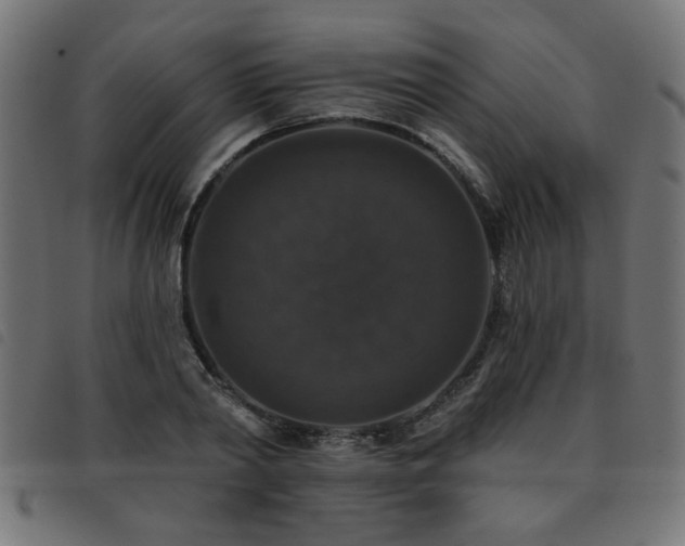 X0000093450790200710121353