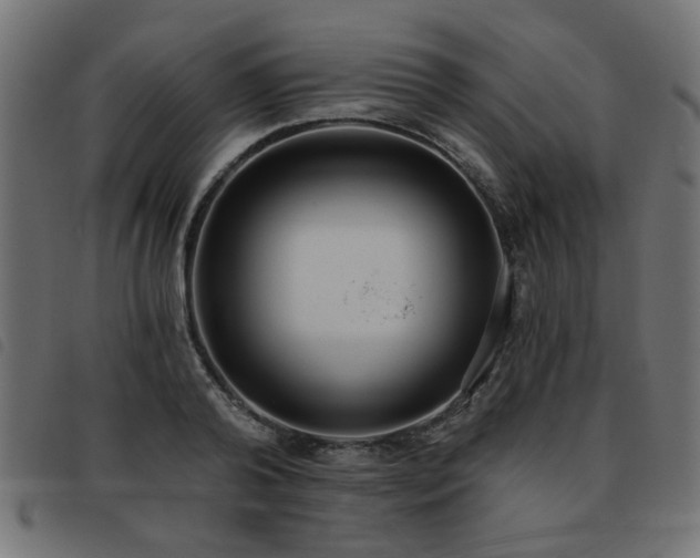 X0000093450792200710121353