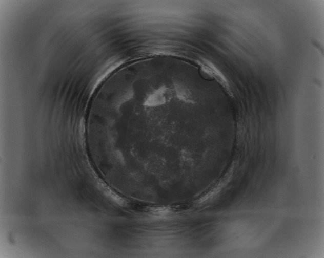 X0000093450798200710121353