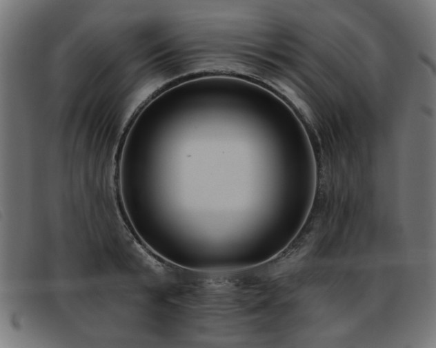 X0000093450799200710121353