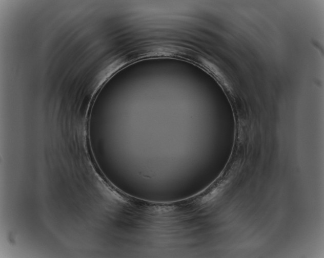 X0000093450802200710121353