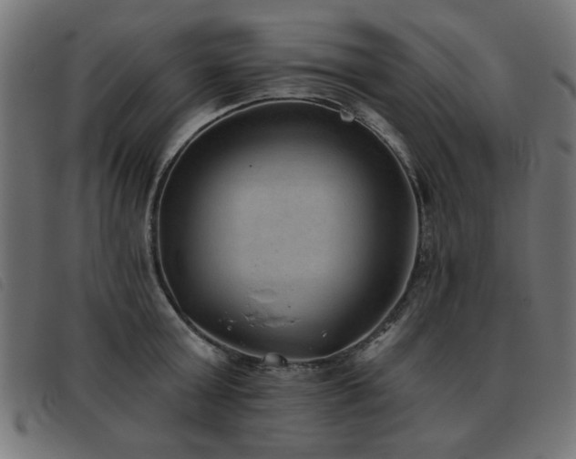 X0000093450803200710121353