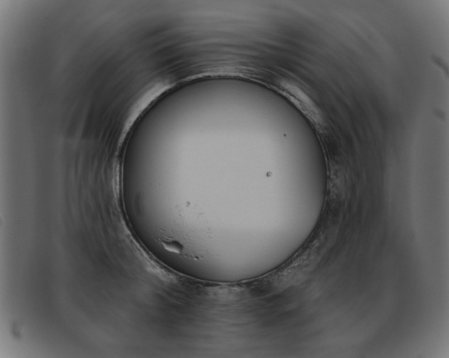 X0000093450804200710121353