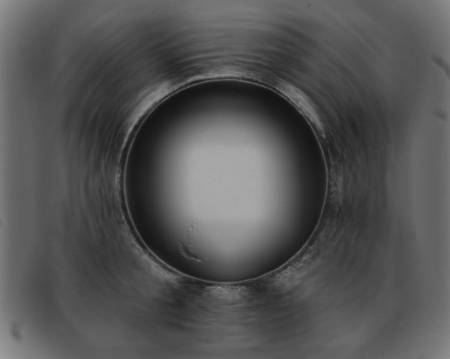 X0000093450805200710121353