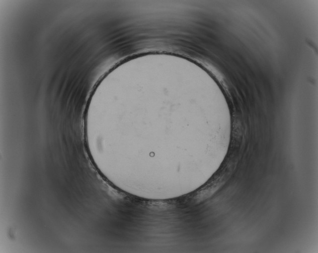 X0000093450807200710121353