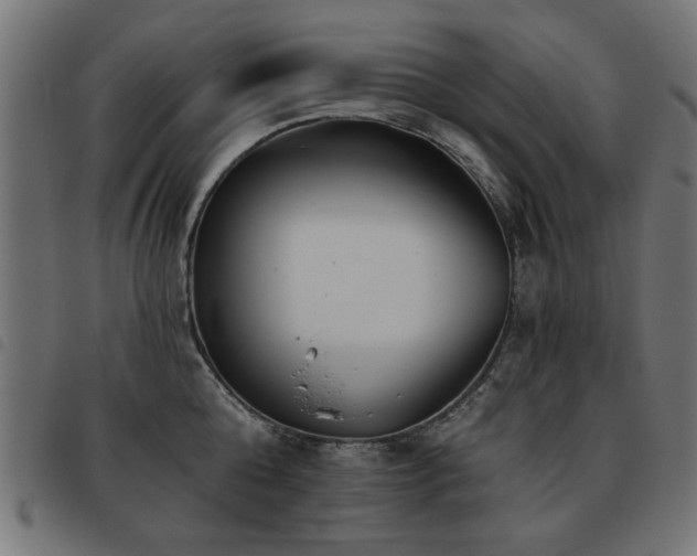 X0000093450808200710121353