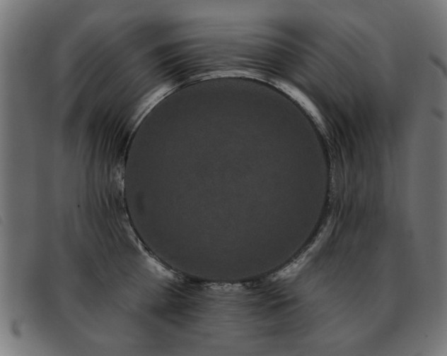X0000093450809200710121353