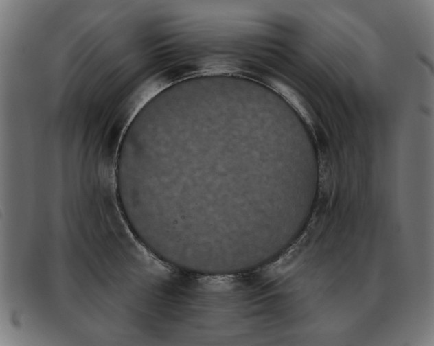 X0000093450810200710121353