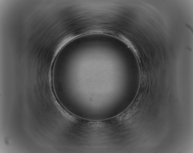 X0000093450811200710121353